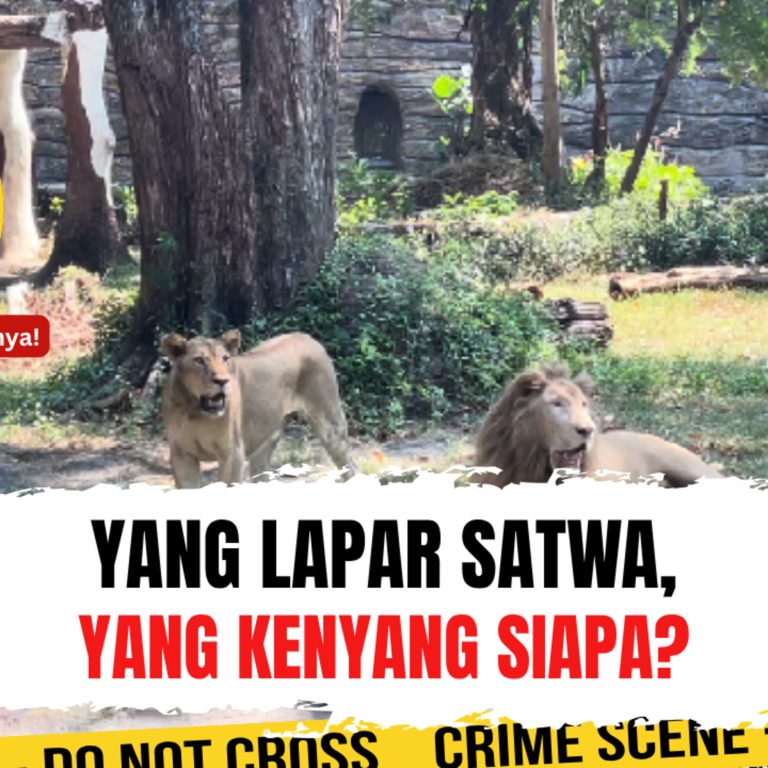 Yang Lapar Satwa, yang Kenyang Siapa? | Ep. 2771
